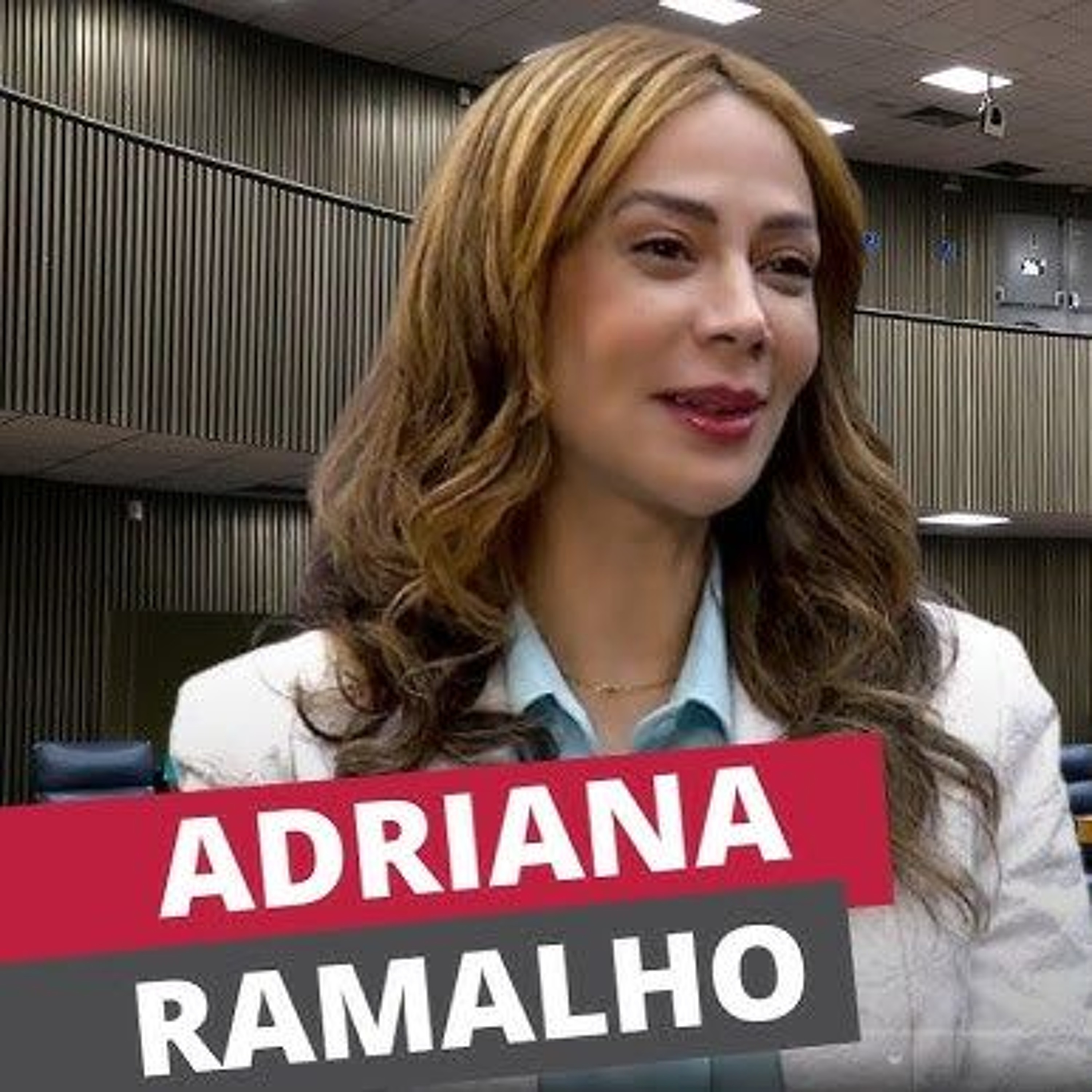 webradiocamarasaopaulo
