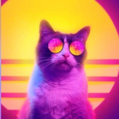 Electric Cats In Space Sunset Mix