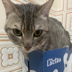 LA HORA DEL NEWSTYLE B2B DJ ANDREW