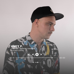 Aney F. presents F. Bombs - Monthly Mixtape - November 2024 - #012