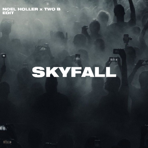 Adele - Skyfall (Noel Holler x Two B Edit)