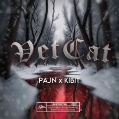 VetCat - Pajn x KIBIT