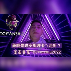 葦豪專屬-藥啊是咩安那呷卡ㄟ走針？DJFanShu2022