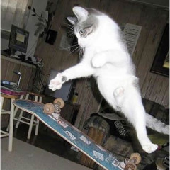 a game @samplee #jerseyclub