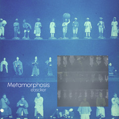 Metamorphosis