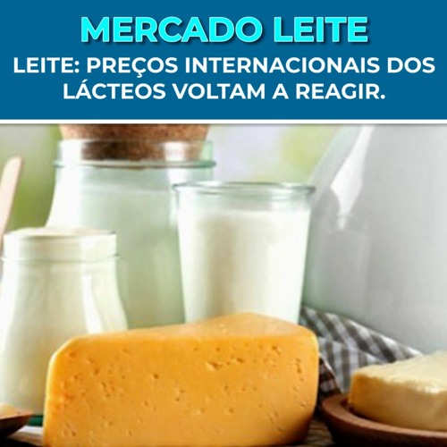 MERCADO DO LEITE: preços internacionais dos LÁCTEOS VOLTAM A REAGIR.