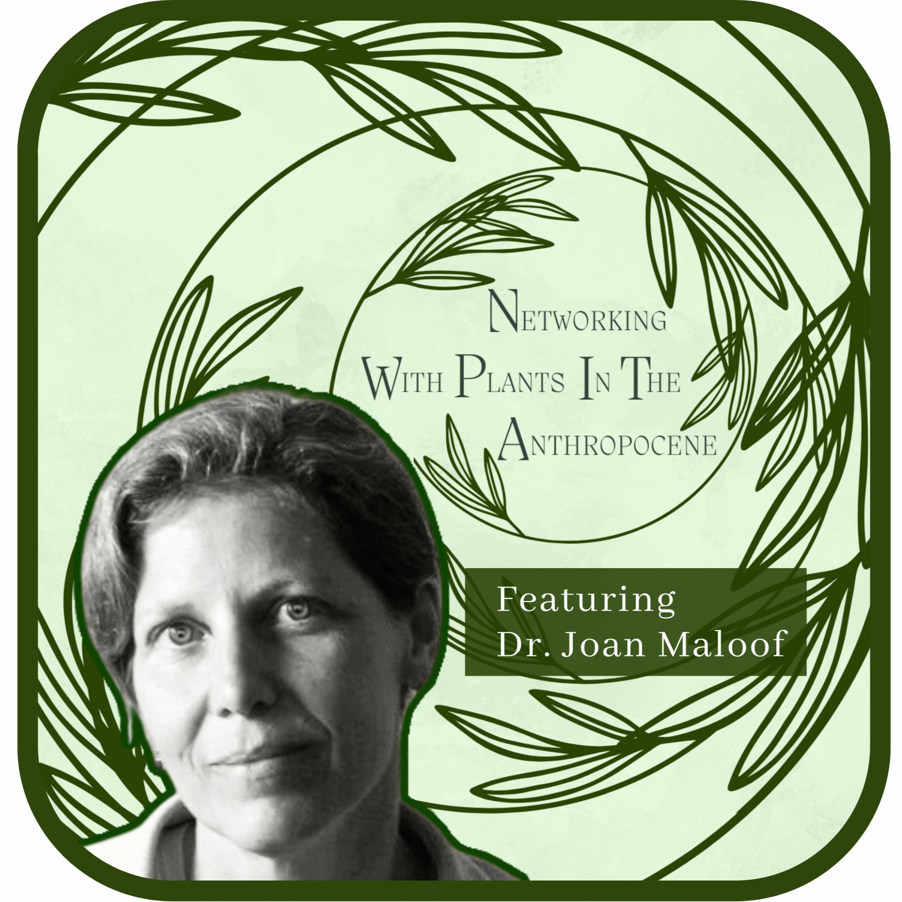 Podcast Networking with Plants in the Anthropocene