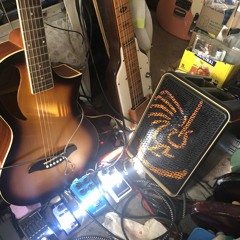 THE COMPOSER (GRAY & PIG) ROOT CANALING