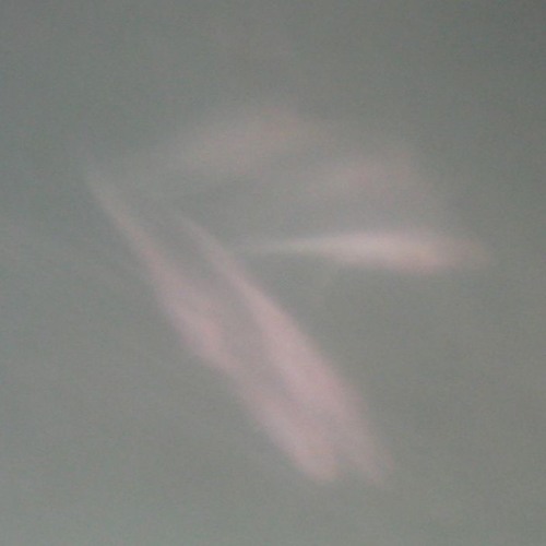 rosewither - sweltering heat; grackle speak
