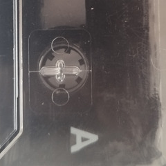 "Roman Polanski's School of Rock"