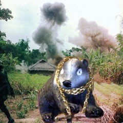 Quackers The Funky Badger Gets Drafted