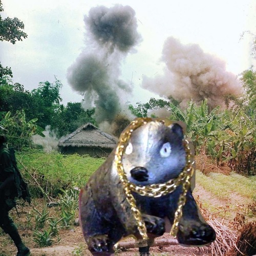 Quackers The Funky Badger Gets Drafted