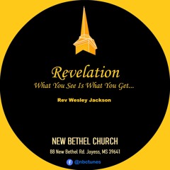 Rev Wesley Jackson - REVELATION - -What You See Is What You Get