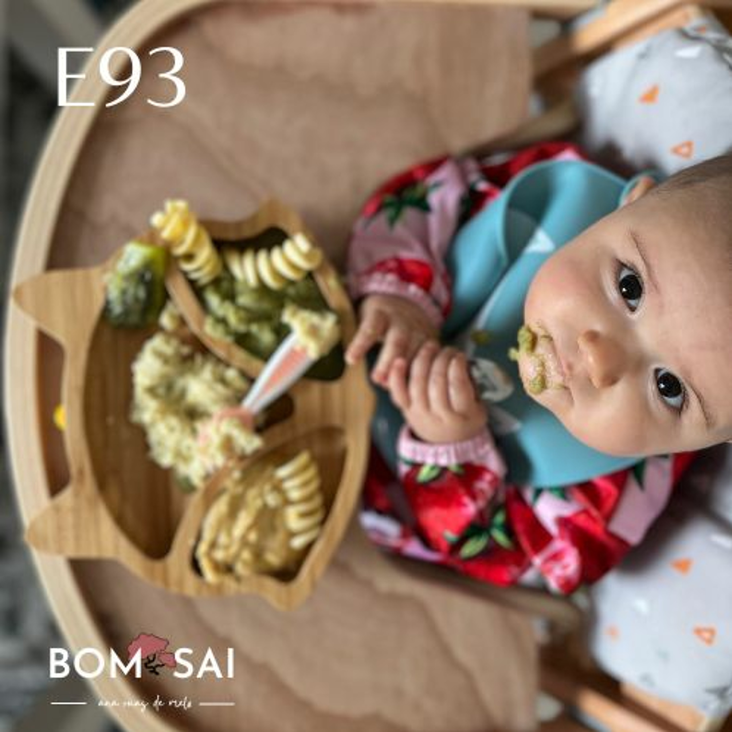 Episódio 93 - Inspiração para início do ano, introdução alimentar e reflexão sobre o papel de mãe episode artwork