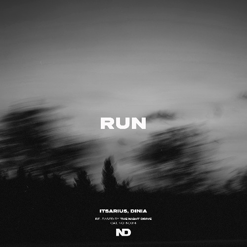 ItsArius & Dinia - Run