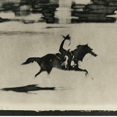 Horsein duck mix