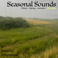 Seasonal Sounds #4: Autumn