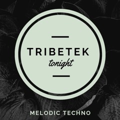 Tribetek - Tonight ( Melodic Techno )