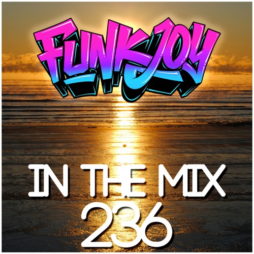 funkjoy - In The Mix 236