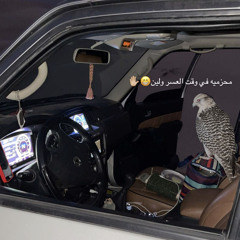 ᴹᴿᴹ الـــقـــنــص قـــرحــه