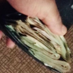 My lifestyle .. Featuring Pluto ,Neech , V-$tack$