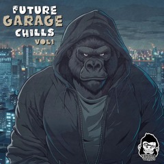 Vanilla Groove - Future Garage Chills Vol 1