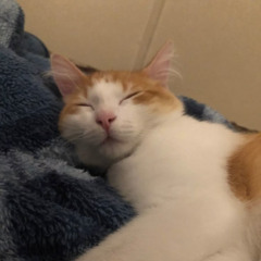 Khong Biet De Title Gi