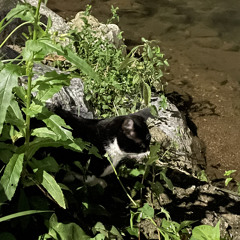 나는 사실 화성인이야