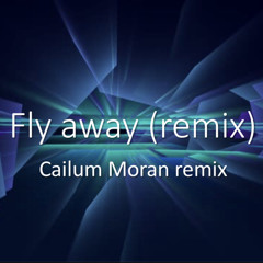 Fly away (remix) by cailum moran