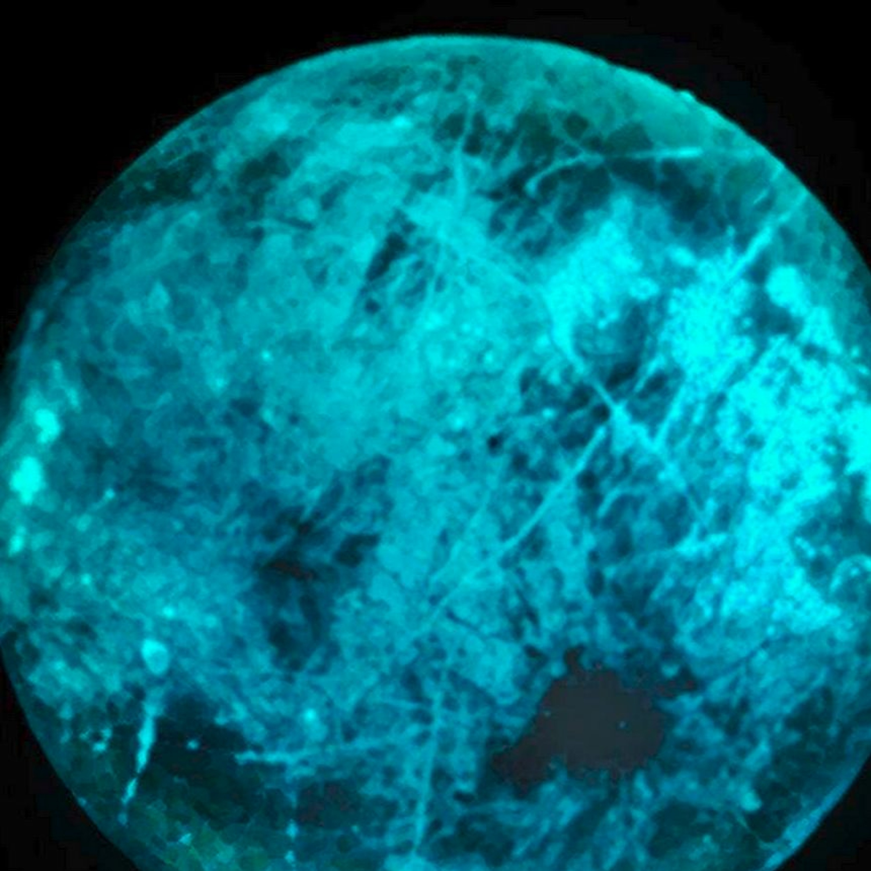 Astronomie - En route vers les etoiles