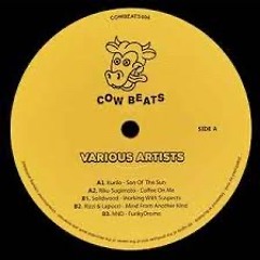 Solidwood - Working With Suspects [COWBEATS004]