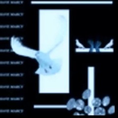 SLAP A FAT BIXXX METROZU SCREWBOSS REMIX