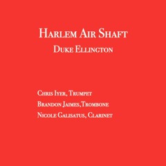 Harlem Air Shaft