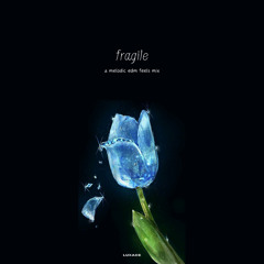fragile (Melodic EDM Feels Mix)