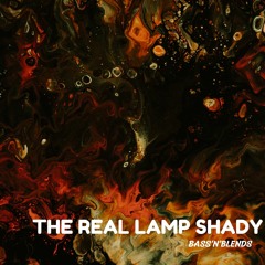 The Real Lamp Shady - Bootleg Guest Mix