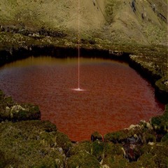 Technical Glitch w/ Not Noah & Yung Lemon - November 2020