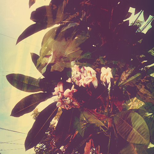 Beckoning your call