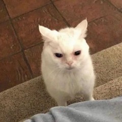 Dont Wanna Work