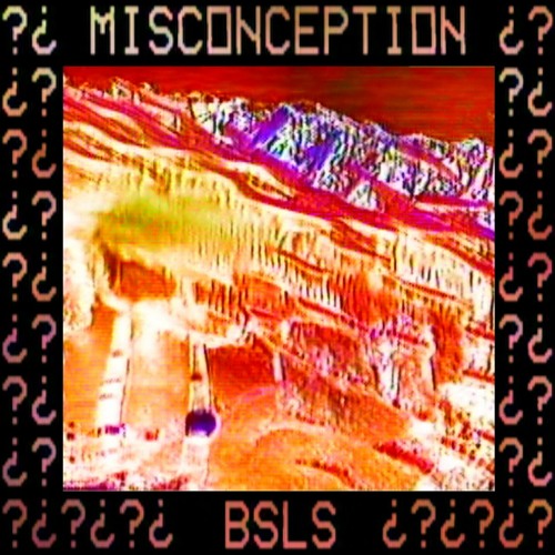 [PREMIERE] BSLS - It's A Shame [ECHOREC006]