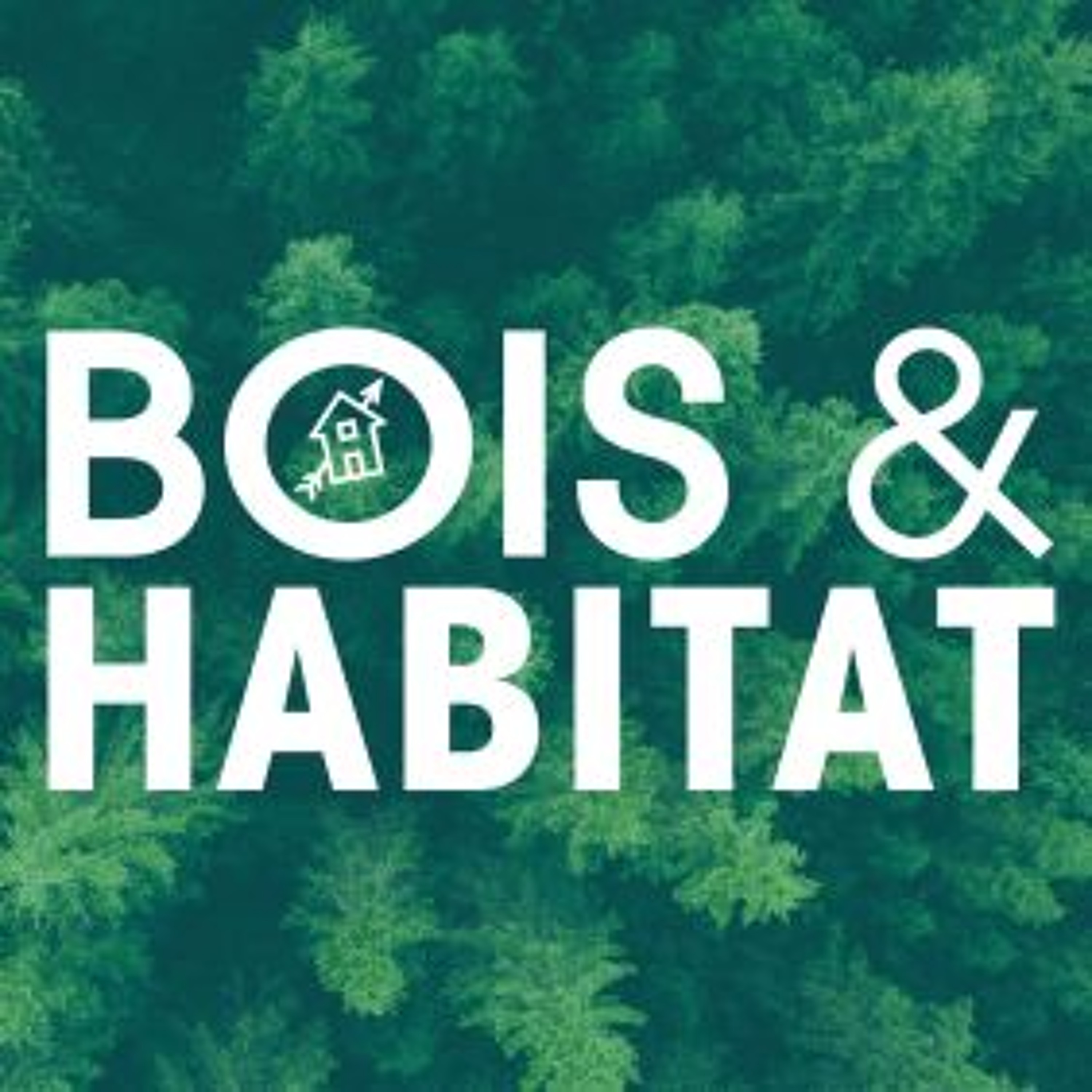 Bois & Habitat episode artwork