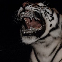 No Ally (featuring Spida) 2021