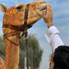 راشد الماجد / الناموس حمداني 🌪️🗡️