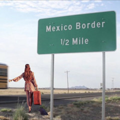 ILEFTTHATHOEBACKINMEXICO - FluffyBunny x BlvckVader