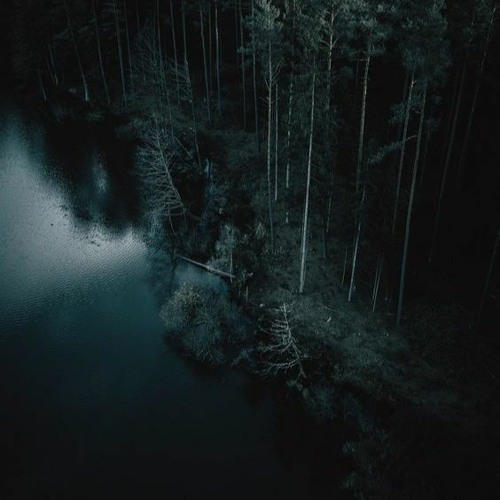 Крысиный король