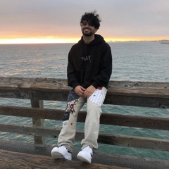 Aries - CENTIPEDE (leak)