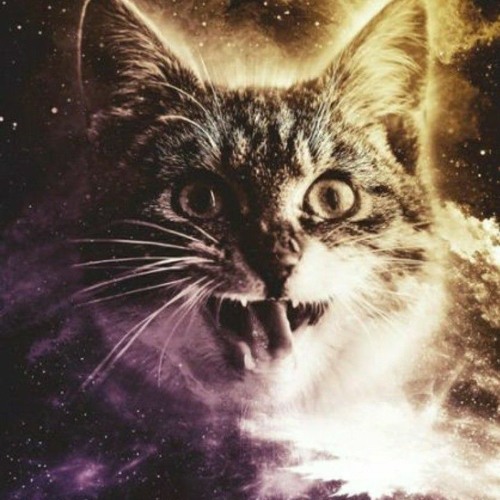 Stream Alien vs The Cat - Space Jam [Full Album].mp3 by PSYTRANCE IS DEAD  WHEN YOU HEAR THIS TO SEK LO | Listen online for free on SoundCloud