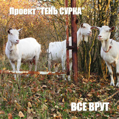 Владимир Сурков/Тень Сурка - Все врут (2020)