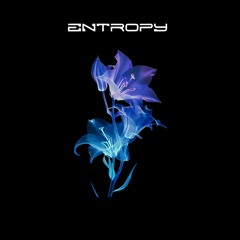 Entropy
