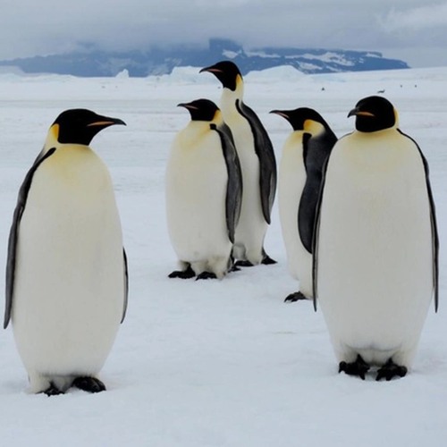 Fall In Love At Dusk