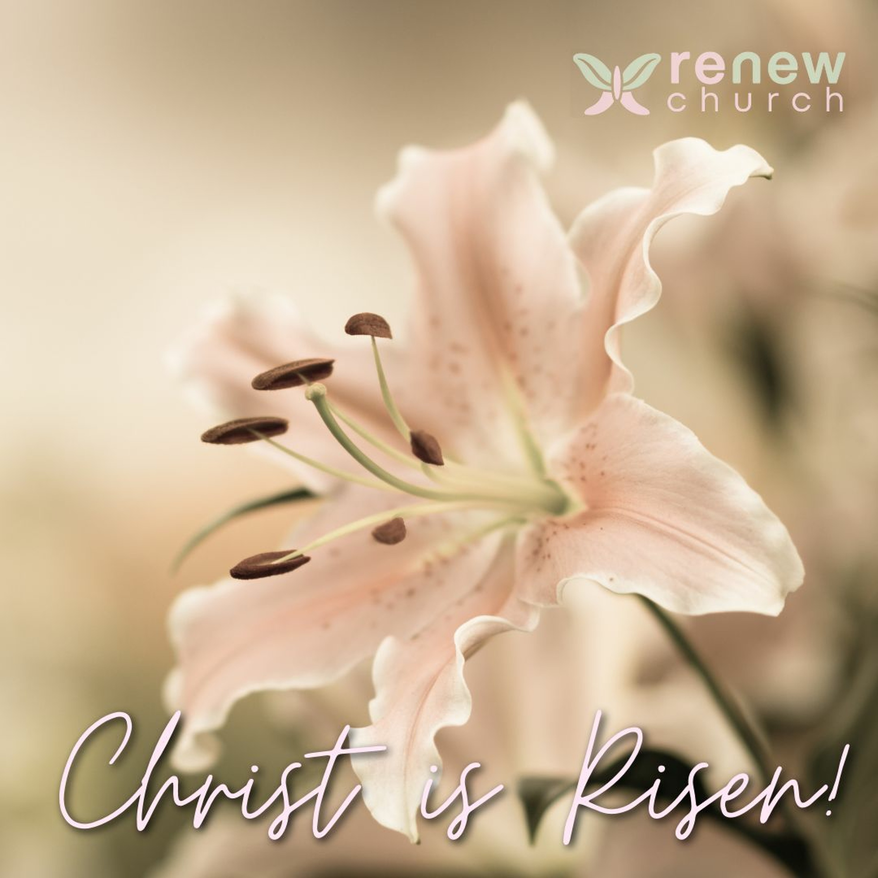 "The Renewed Life" by Dave Sim || Luke 24:1-12 || Easter Sunday episode artwork